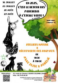 2025_SC_Etoile verte animations (1)