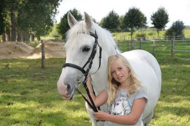 poney-cheval-cavaliere©pixabay